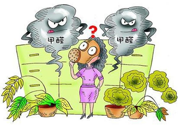 不知道除甲醛多少錢一平米？你就等著被坑吧！
