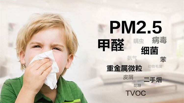 誰說二手車沒有甲醛？汽車除甲醛最有效方法告訴您