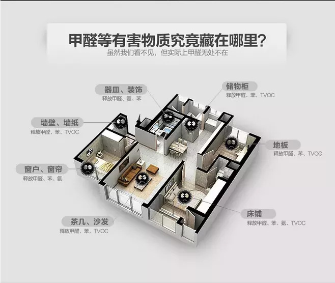 除了除甲醛公司，我們還可以這樣除甲醛