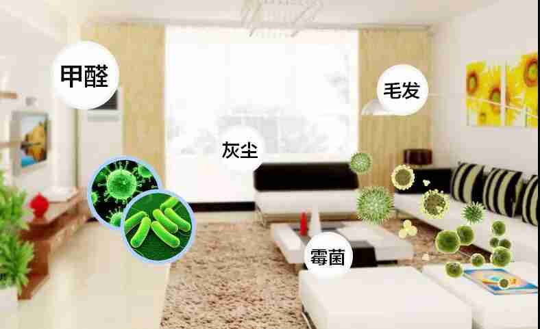 網(wǎng)上的除甲醛好辦法真的有效嗎？原理是什么