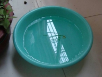 裝修完僅靠兩盆冷水就能除甲醛？這個說法連網友都出來辟謠！大家別再相信了！