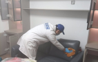 哪種方法除甲醛才是真正有效的呢？