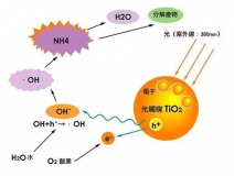 寶寶過敏，“罪魁禍首”是通風除甲醛不徹底