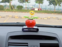 新車除醛，車內除甲醛什么辦法最好？