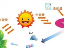 甲醛治理用什么辦法最正確？這三點常見的除甲醛辦法其實是誤區(qū)