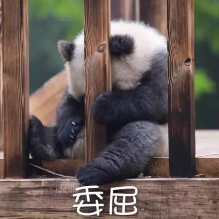 別大意！七大除甲醛“誤區(qū)”，信了你反而會(huì)生病！通風(fēng)、綠植、活性炭、熏蒸……你中招了嗎？